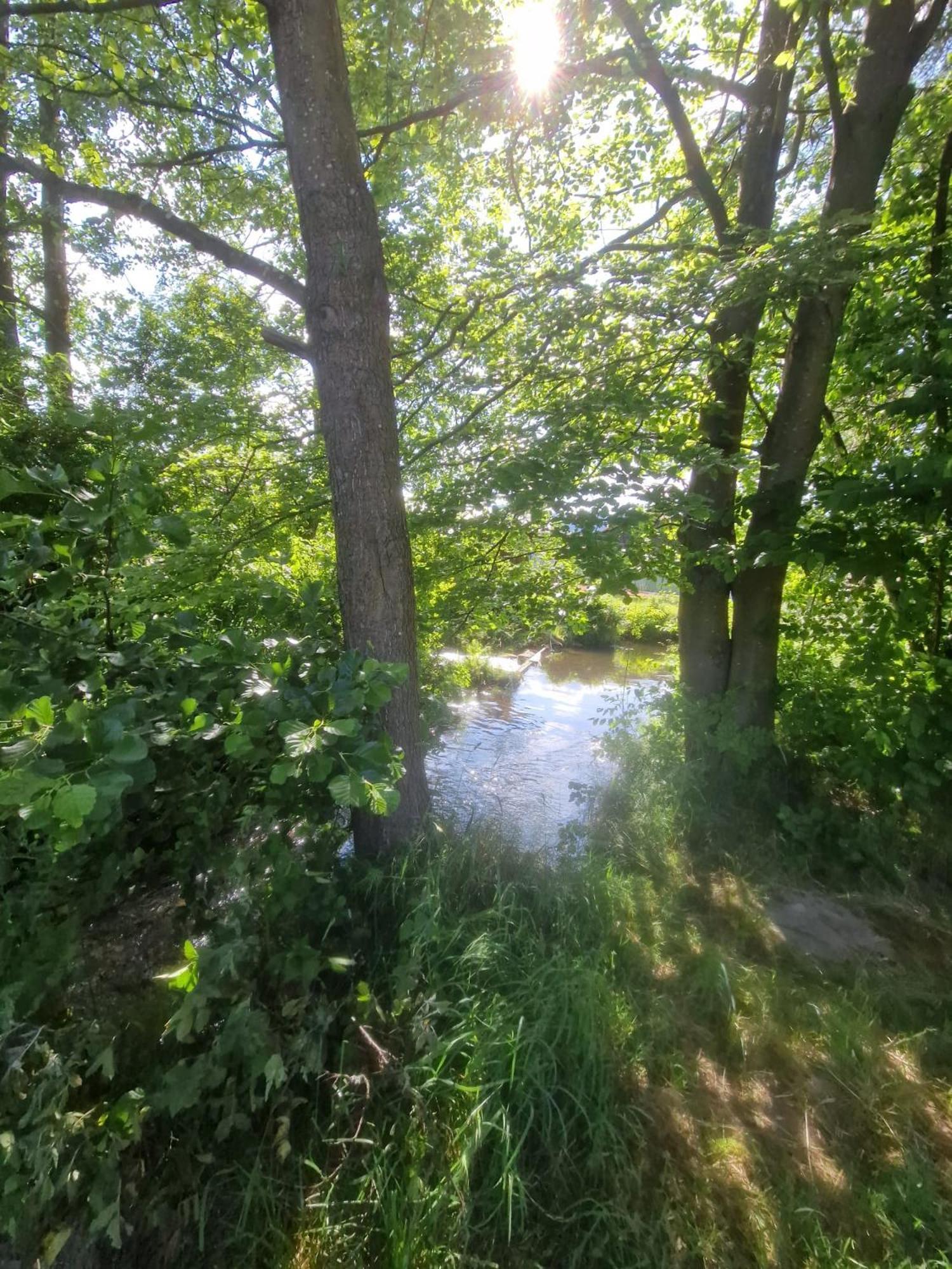 Ferienhaus Am Bach Achslach Exteriér fotografie