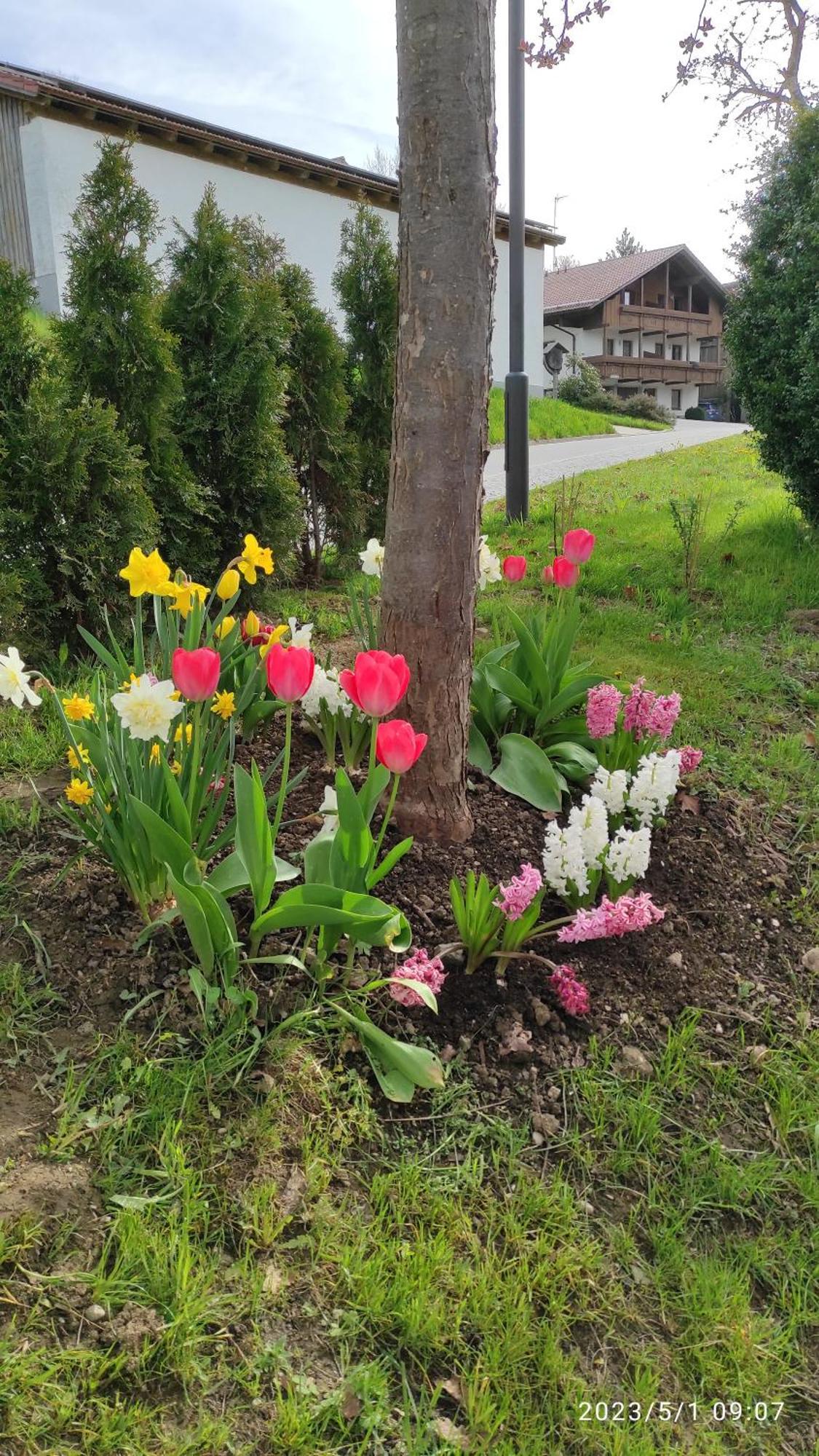Ferienhaus Am Bach Achslach Exteriér fotografie